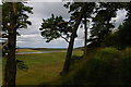 NY7868 : Hadrian's Wall on Housesteads Crags by Christopher Hilton