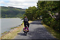 SH6516 : Cycling on the Mawddach Trail alongside Coed-y-garth by Phil Champion