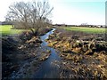 SP7915 : The River Thame north of Aylesbury by Bikeboy