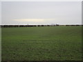 TA2022 : View towards Immingham by Jonathan Thacker