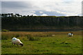 NY7668 : Crag Lough and Highshield Crags from the north by Christopher Hilton