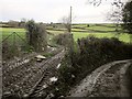  : Field access track, Nethershaugh Farm by Derek Harper