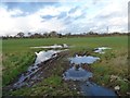 SJ6971 : Farmland north of Crowder's Lane [2] by Christine Johnstone