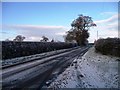 SJ4362 : Sandy Lane, looking north-west by Christine Johnstone