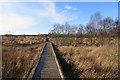 NO4721 : Boardwalk, Fife Coastal Path by Richard Webb