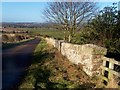 NT9450 : Disused railway bridge by David Chatterton