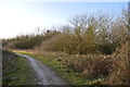 SJ8147 : Silverdale Country Park: track to Waste Farm by Jonathan Hutchins