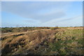 SJ8047 : Silverdale Country Park: Waste Farm Meadows by Jonathan Hutchins