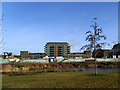 TQ4175 : Kidbrooke Village: new phase starting by Stephen Craven