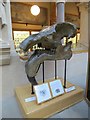 SP5106 : Eubelodon Skull by Bill Nicholls