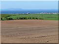 NY0941 : Farmland, Hayton by Andrew Smith