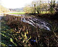 SO5305 : Waterlogged field near Bigsweir Bridge by Jaggery