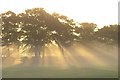 NZ2466 : Early Morning Mist on Newcastle Town Moor by Andrew Tryon