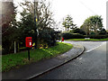 TM4557 : Linden Road Postbox by Geographer