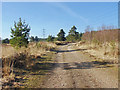 SU8762 : Lowland heath, Wishmoor Bottom by Alan Hunt