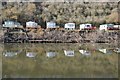 SO8346 : Caravans reflected in the River Severn by Philip Halling