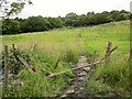 SE0927 : Calderdale Way near Addersgate Farm by Derek Harper