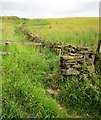 SE1028 : Calderdale Way by Derek Harper