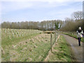 SK8705 : New public path by a bund west of Rutland Water by Robin Stott