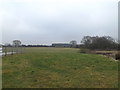 TL6003 : Farmland at Norton Heath Equestrian Centre by Geographer