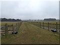 TL6003 : Path at Norton Heath Equestrian Centre by Geographer