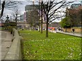 SJ8398 : Snowdrops in Cathedral Gardens by David Dixon