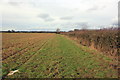 SJ4152 : Footpath to Holt by Jeff Buck