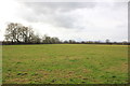 SJ4151 : Farmland near Holt by Jeff Buck