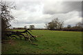 SJ4151 : Footpath to Holt by Jeff Buck