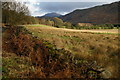 SD1398 : Eskdale Valley by Peter Trimming