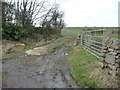 SE2349 : Field entrances at a sharp bend, Pill White Lane by Christine Johnstone