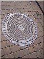 TQ0058 : The Woking Martian: explanatory plaque in the pavement by Christopher Hilton