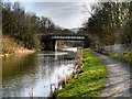 SD8132 : Leeds and Liverpool Canal approaching Bridge#124C by David Dixon