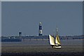 TA4011 : Sailing past Spurn by Steve  Fareham