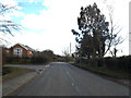 TM0477 : B1113 Hall Lane, Redgrave by Geographer