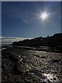 NO5017 : Sunny morning at St Andrews by Jackie Proven