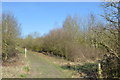 SJ8147 : Silverdale Country Park: track through Miners Retreat Wood by Jonathan Hutchins