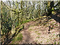 SE0722 : Path in North Dean Wood by Humphrey Bolton