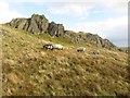 NY4305 : Rock outcrop and sheep on Yoke by Graham Robson