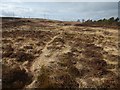 NS3778 : Old field boundary by Lairich Rig