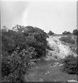 SO9438 : Disused quarry, Bredon Hill, 1952 by David Hawgood