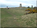 NZ3963 : Path across Cleadon Hills, near South Shields by Malc McDonald