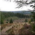 NY6394 : View from the Deadwater Trail by Rich Tea