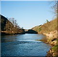 SO5514 : The River Wye near Biblins footbridge by John Winder