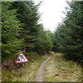 NY6295 : Roadworks on the Deadwater Trail, Kielder Forest by Rich Tea