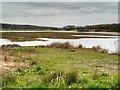 SD5830 : Number One Pit, Brockholes Nature Reserve by David Dixon