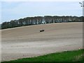 SU1473 : East up the western shoulder of Rockley Down, Wiltshire by Brian Robert Marshall