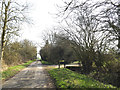 TM2172 : Thorpe Hall Road, Horham by Geographer