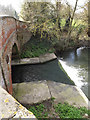 TM1573 : Weir on the River Dove at Abbey Bridge by Geographer