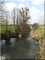 TM1573 : River Dove at Abbey Bridge by Geographer